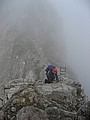 IMG_1334.JPG IMG_1334.JPG