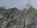 IMG_1342.JPG IMG_1342.JPG