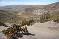 RLF_7803.JPG RLF_7803.JPG
