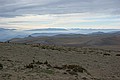 RLF_7825.JPG RLF_7825.JPG