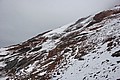 RLF_7844.JPG RLF_7844.JPG