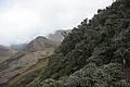 RLF_7872.JPG RLF_7872.JPG