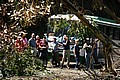 IMG_1103.JPG IMG_1103.JPG