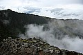 IMG_1105.JPG IMG_1105.JPG