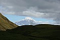IMG_1165.JPG IMG_1165.JPG