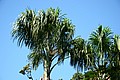 IMG_1242.JPG IMG_1242.JPG