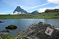 RLF_3880.JPG RLF_3880.JPG
