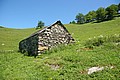 RLF_3893.JPG RLF_3893.JPG