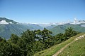 RLF_3894.JPG RLF_3894.JPG
