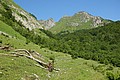 RLF_3913.JPG RLF_3913.JPG