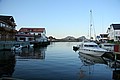IMG_6019.JPG IMG_6019.JPG