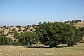 170312_1035_RLF_8217.JPG 170312_1035_RLF_8217.JPG