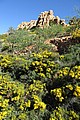 170313_0936_RLF_0212.JPG 170313_0936_RLF_0212.JPG