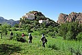 170313_0958_RLF_0217.JPG 170313_0958_RLF_0217.JPG