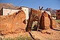 170315_1059_RLF_8275.JPG 170315_1059_RLF_8275.JPG