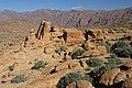 170316_0942_RLF_0256.JPG 170316_0942_RLF_0256.JPG
