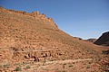 170316_1543_RLF_8295.JPG 170316_1543_RLF_8295.JPG