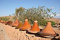 170317_1649_RLF_8365.JPG 170317_1649_RLF_8365.JPG