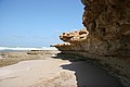 170318_1047_RLF_8413.JPG 170318_1047_RLF_8413.JPG