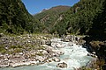 IMG_6475.JPG IMG_6475.JPG