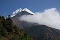 IMG_6495.JPG IMG_6495.JPG