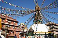 IMG_7067.JPG IMG_7067.JPG