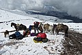 181113_1052_SXH_1231.JPG 181113_1052_SXH_1231.JPG