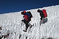 181122_0817_SXH_1363.JPG 181122_0817_SXH_1363.JPG