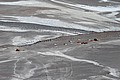 181124_1017_SXH_1394.JPG 181124_1017_SXH_1394.JPG