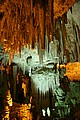 160326_1209_RLF_7972.JPG 160326_1209_RLF_7972.JPG