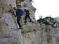 160327_1219_RLF_1695.JPG 160327_1219_RLF_1695.JPG