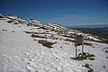 160330_1143_RLF_8033.JPG 160330_1143_RLF_8033.JPG