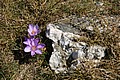 160330_1202_RLF_8043.JPG 160330_1202_RLF_8043.JPG
