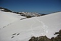 160330_1207_RLF_8046.JPG 160330_1207_RLF_8046.JPG