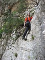 160331_1301_RLF_1700.JPG 160331_1301_RLF_1700.JPG