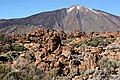 IMG_6487.JPG IMG_6487.JPG
