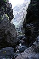 IMG_6529.JPG IMG_6529.JPG