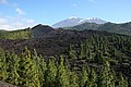 IMG_6559.JPG IMG_6559.JPG