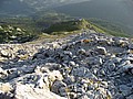 IMG_0728.JPG IMG_0728.JPG