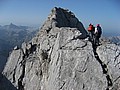 IMG_0740.JPG IMG_0740.JPG