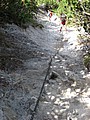 IMG_0771.JPG IMG_0771.JPG