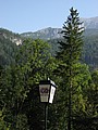 IMG_0781.JPG IMG_0781.JPG